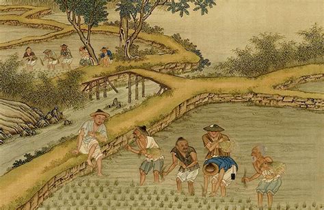  A Treatise on Agriculture: Unveiling Nature's Symphony in Ancient China