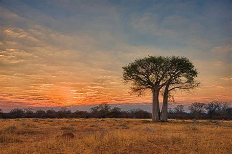 Journey to the Heart: A Meditation on Life, Loss, and Renewal Through South African Landscapes - Exploring the Tapestry of Resilience and Hope